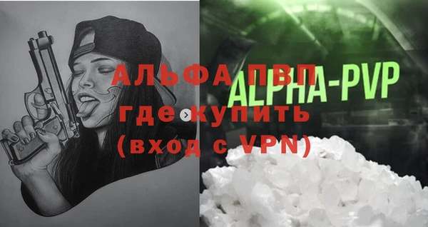 амф Гусев