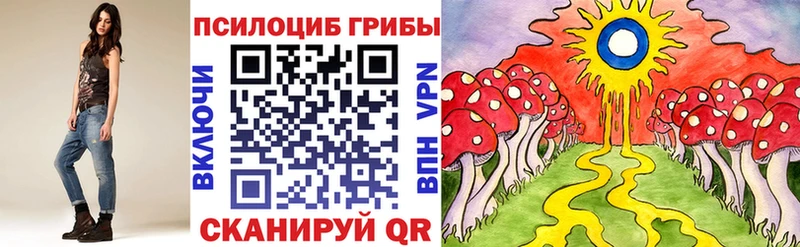 Псилоцибиновые грибы ЛСД MEGA как войти Козьмодемьянск