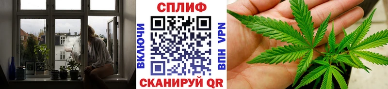 shop как зайти  Козьмодемьянск  Каннабис конопля 